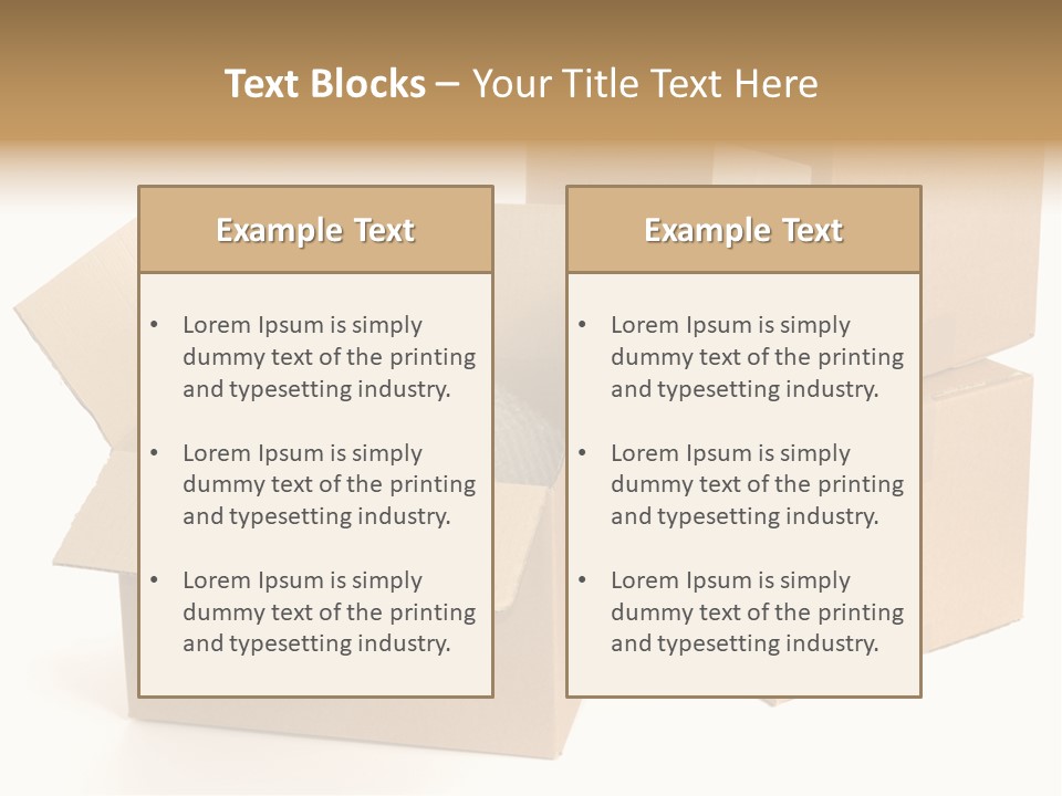 Pregnant Woman Holding Medicine. Nine Month. Third Trimester PowerPoint Template