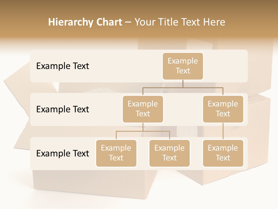 Pregnant Woman Holding Medicine. Nine Month. Third Trimester PowerPoint Template