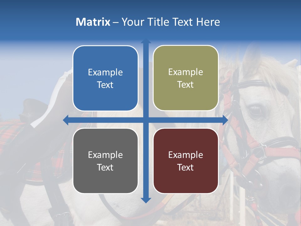 Little Girl And Her Best Friend White Shetland Pony PowerPoint Template