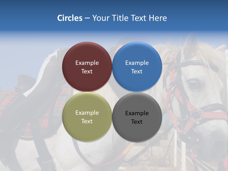 Little Girl And Her Best Friend White Shetland Pony PowerPoint Template