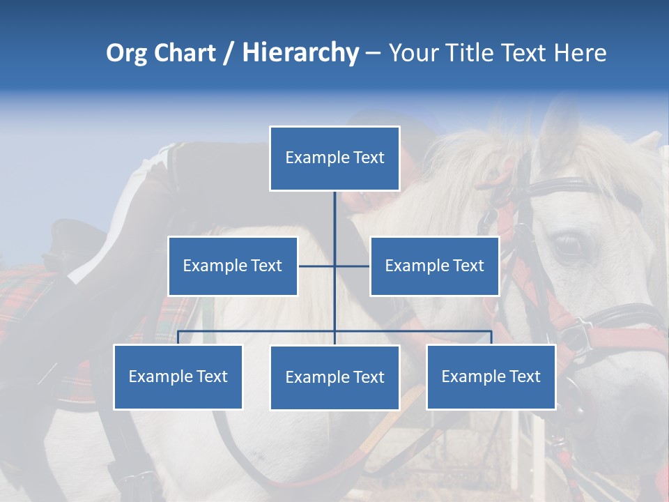 Little Girl And Her Best Friend White Shetland Pony PowerPoint Template