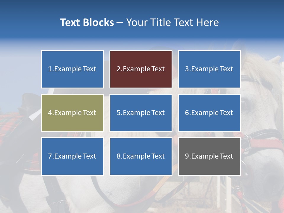 Little Girl And Her Best Friend White Shetland Pony PowerPoint Template