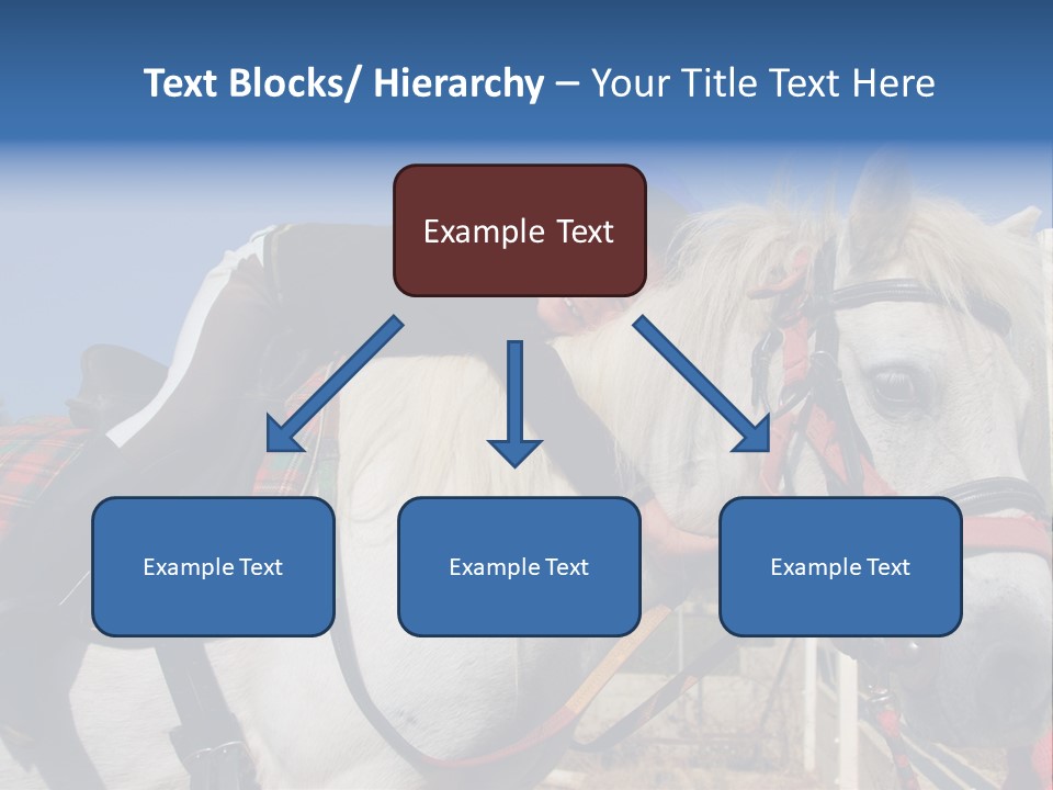 Little Girl And Her Best Friend White Shetland Pony PowerPoint Template