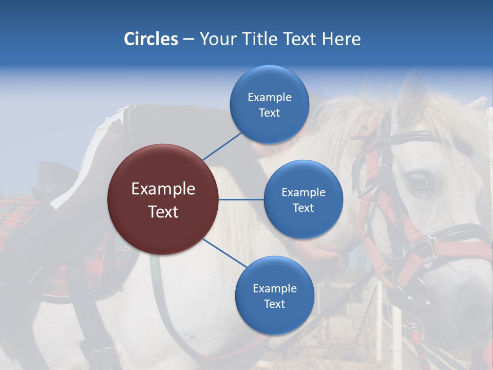 Little Girl And Her Best Friend White Shetland Pony PowerPoint Template