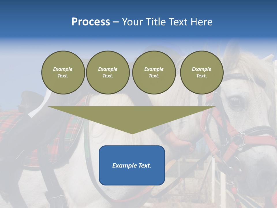 Little Girl And Her Best Friend White Shetland Pony PowerPoint Template