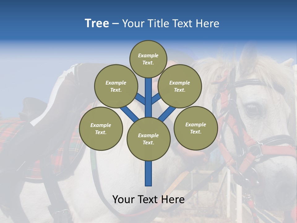 Little Girl And Her Best Friend White Shetland Pony PowerPoint Template