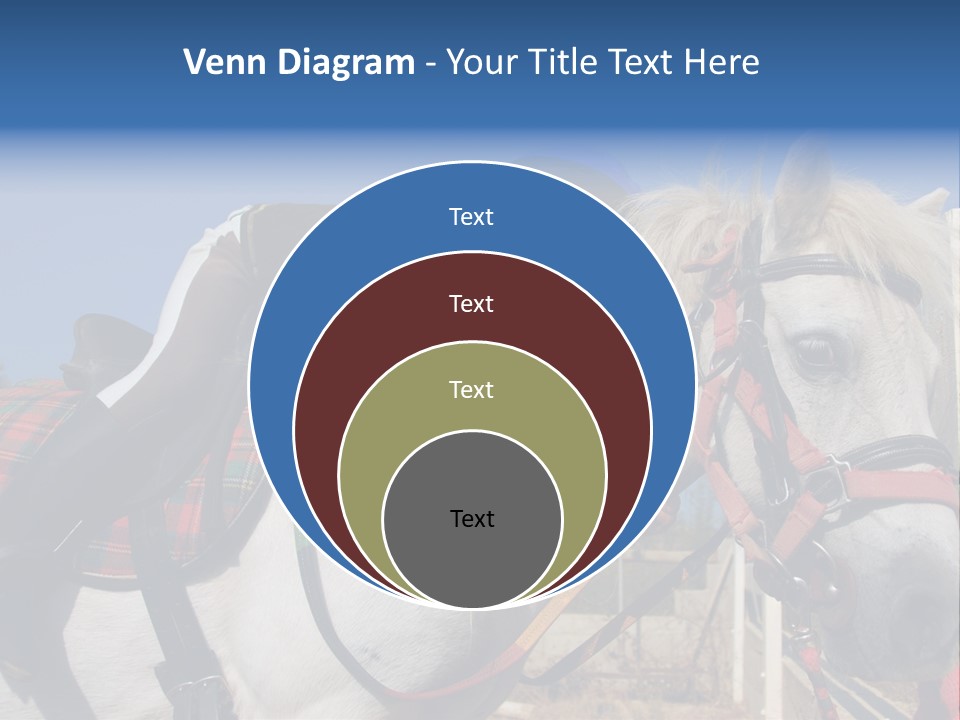 Little Girl And Her Best Friend White Shetland Pony PowerPoint Template