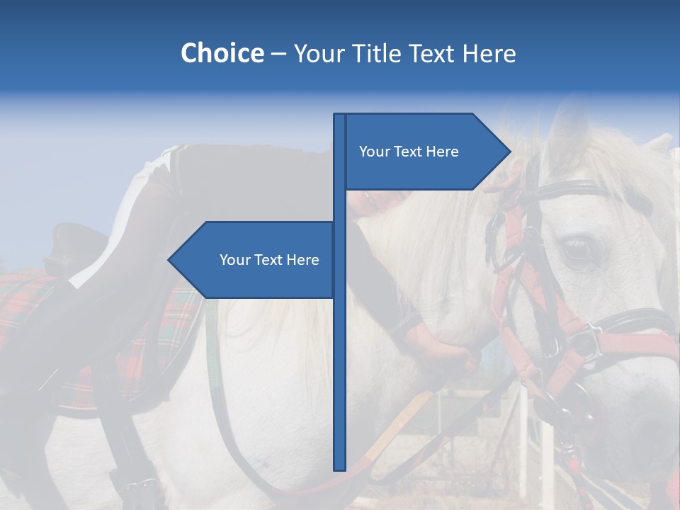 Little Girl And Her Best Friend White Shetland Pony PowerPoint Template