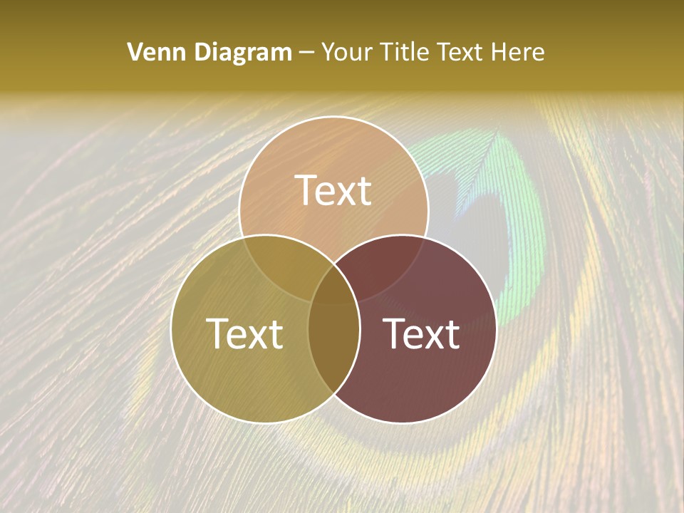 People's Committee Building In Ho Chi Minh City, Vietnam With Ho Chi Minh Statue In Front PowerPoint Template