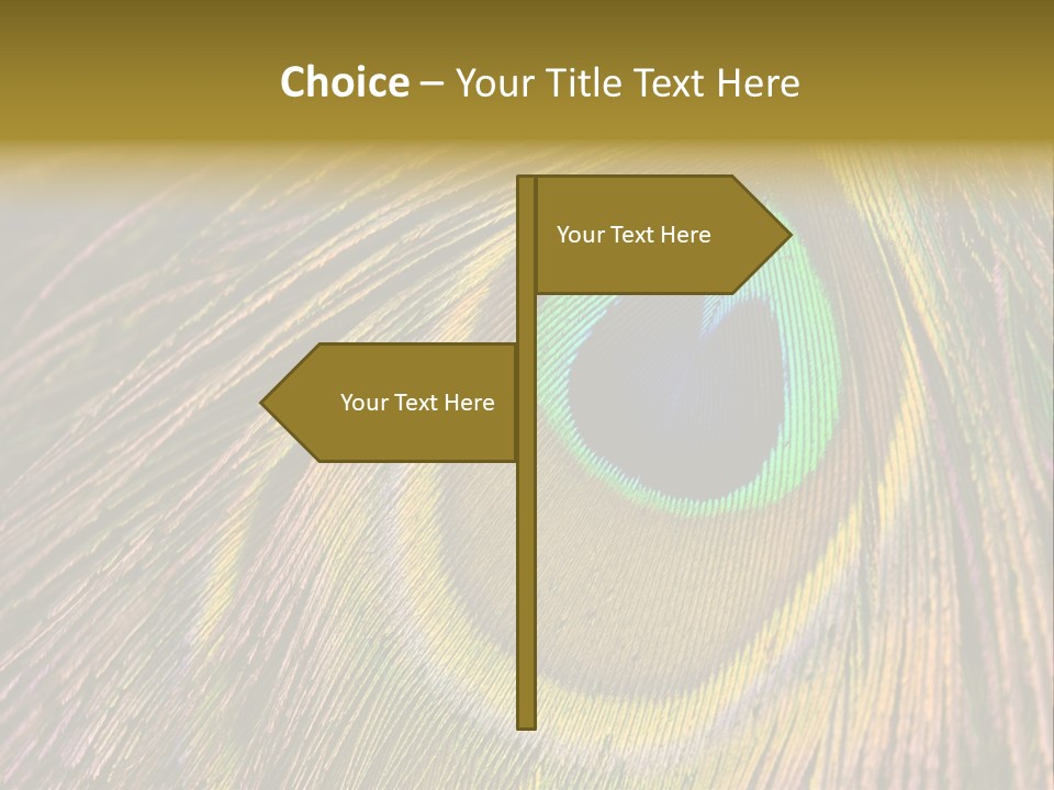 People's Committee Building In Ho Chi Minh City, Vietnam With Ho Chi Minh Statue In Front PowerPoint Template