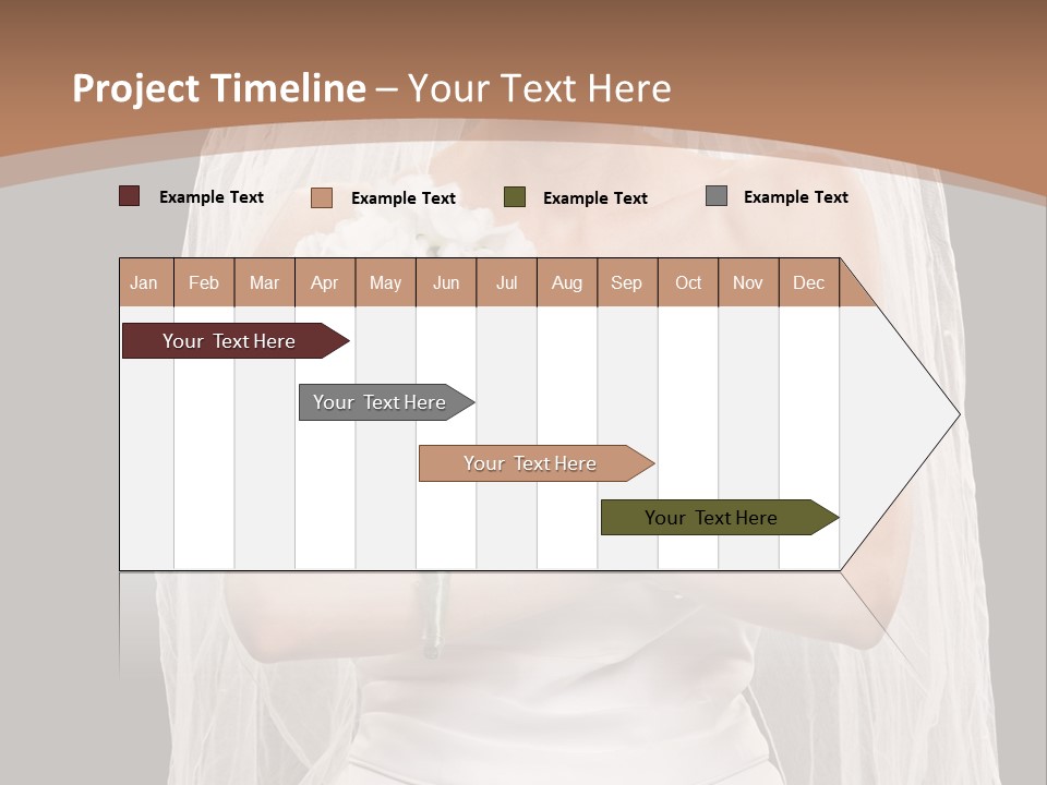 Studio Shot Of Frowning Young Bride In Wedding Dress And Veil PowerPoint Template