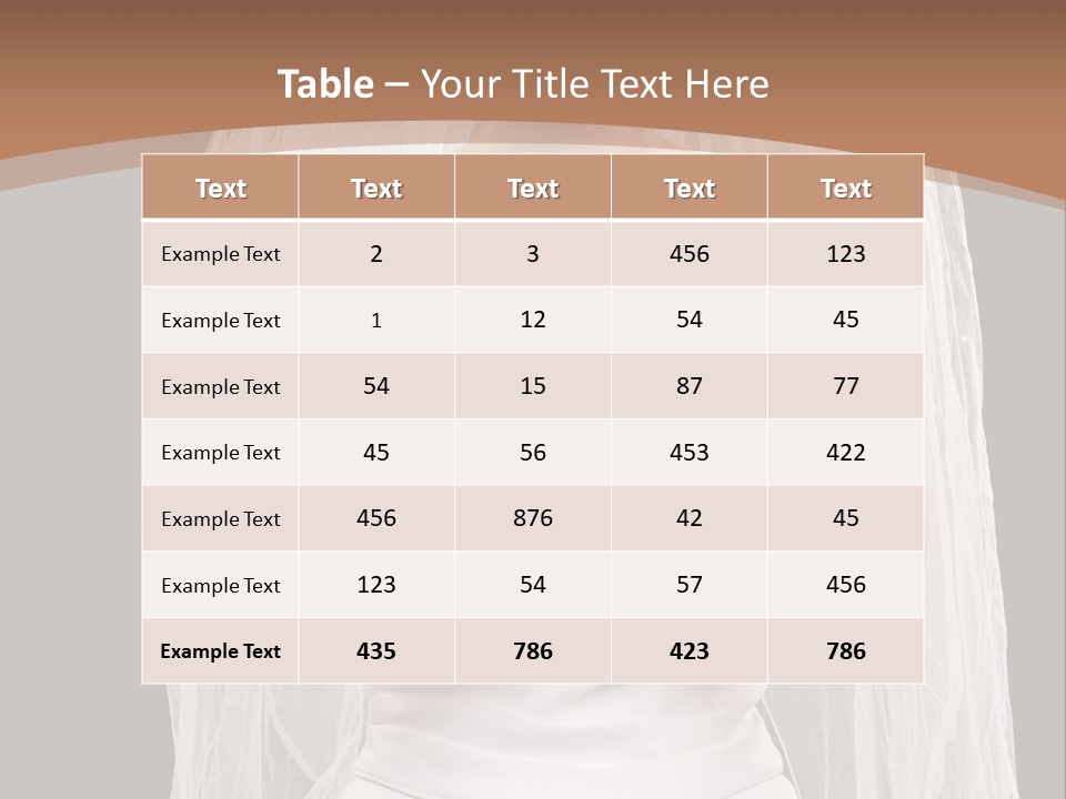 Studio Shot Of Frowning Young Bride In Wedding Dress And Veil PowerPoint Template