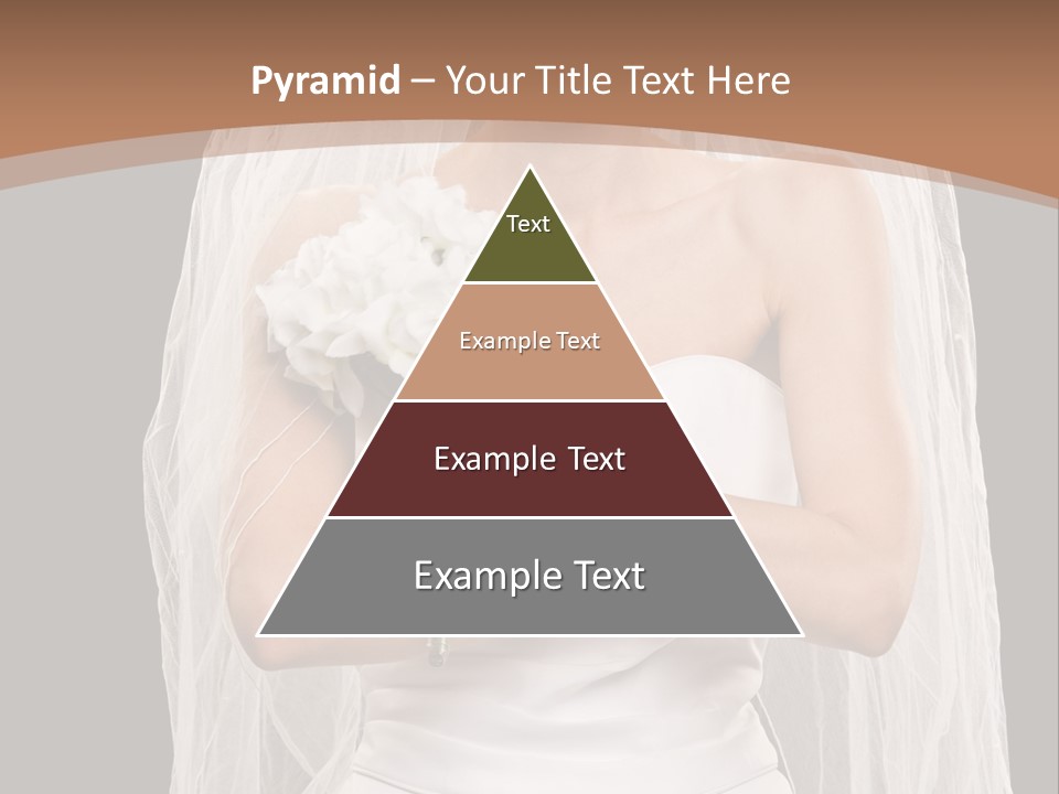 Studio Shot Of Frowning Young Bride In Wedding Dress And Veil PowerPoint Template