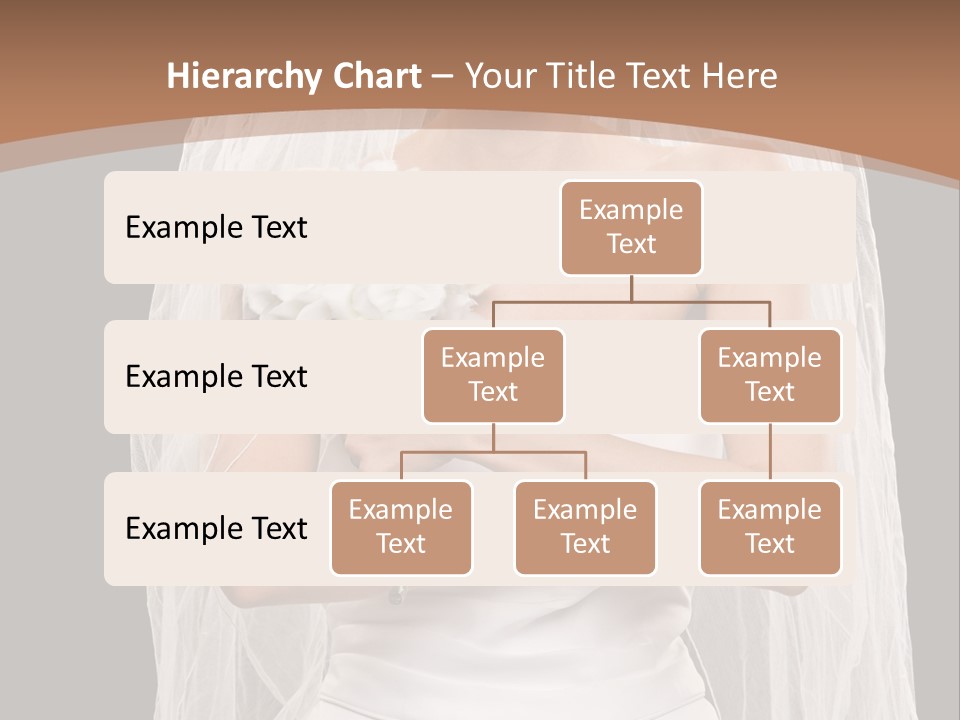 Studio Shot Of Frowning Young Bride In Wedding Dress And Veil PowerPoint Template