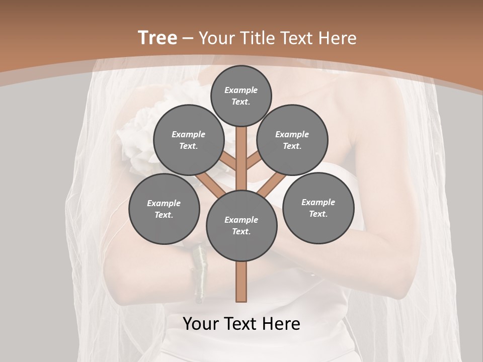 Studio Shot Of Frowning Young Bride In Wedding Dress And Veil PowerPoint Template