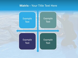 Dolphin Trainer Feeding Dolphins PowerPoint Template