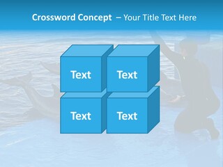 Dolphin Trainer Feeding Dolphins PowerPoint Template