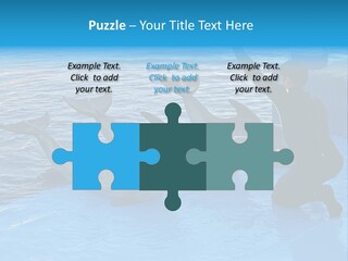 Dolphin Trainer Feeding Dolphins PowerPoint Template
