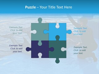 Dolphin Trainer Feeding Dolphins PowerPoint Template