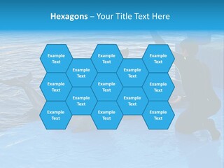 Dolphin Trainer Feeding Dolphins PowerPoint Template