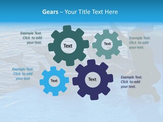 Dolphin Trainer Feeding Dolphins PowerPoint Template