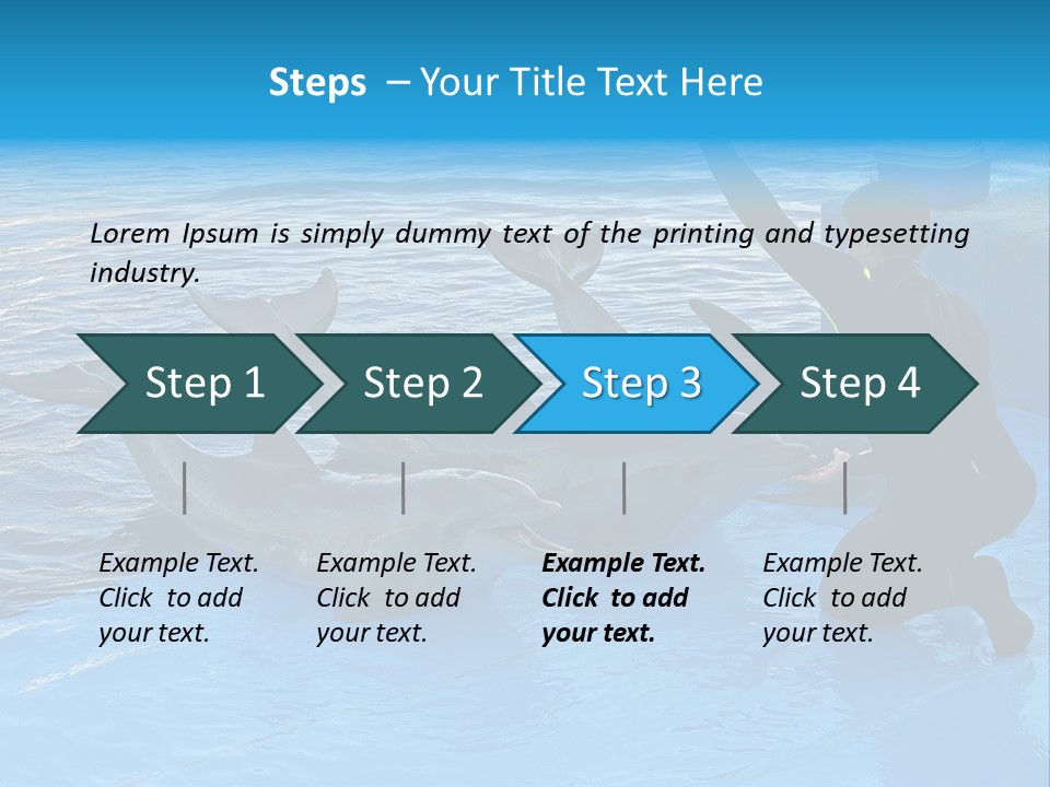 Dolphin Trainer Feeding Dolphins PowerPoint Template