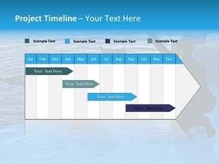 Dolphin Trainer Feeding Dolphins PowerPoint Template