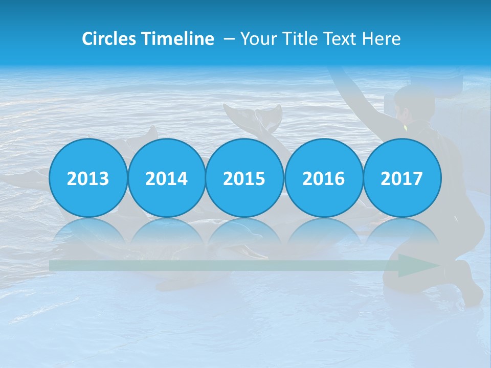 Dolphin Trainer Feeding Dolphins PowerPoint Template