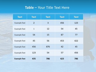 Dolphin Trainer Feeding Dolphins PowerPoint Template