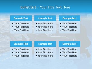 Dolphin Trainer Feeding Dolphins PowerPoint Template