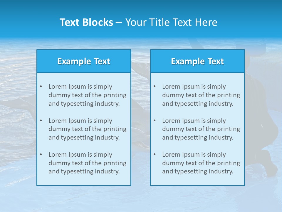 Dolphin Trainer Feeding Dolphins PowerPoint Template