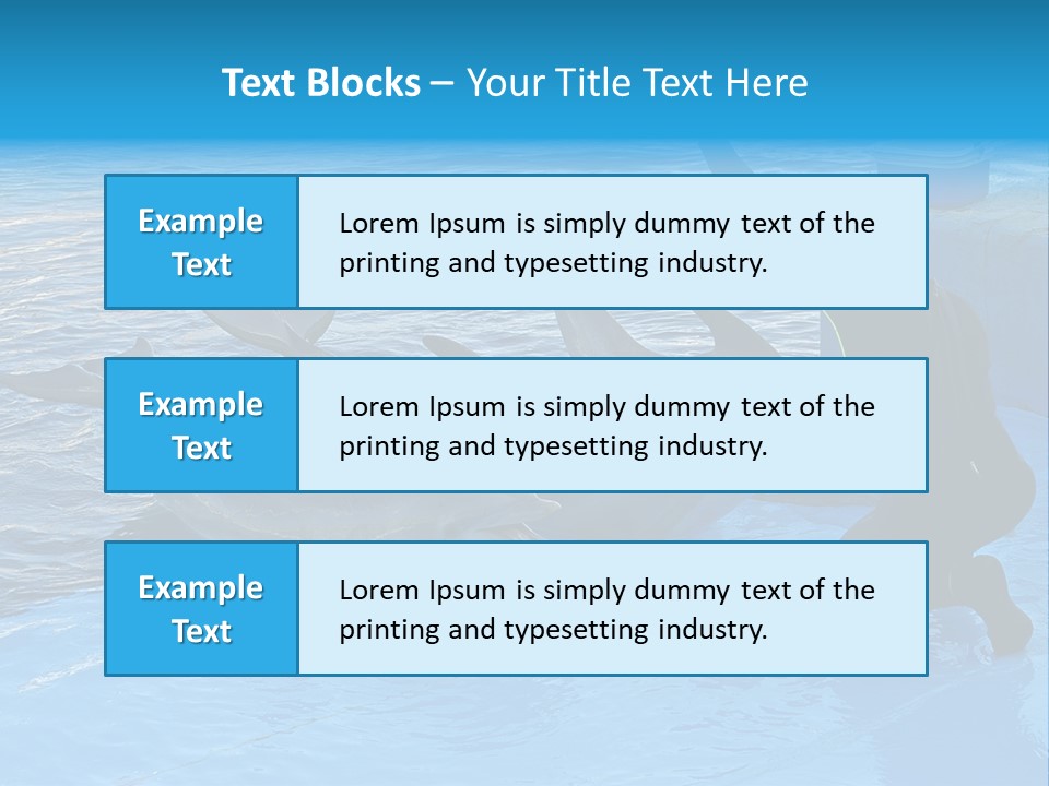 Dolphin Trainer Feeding Dolphins PowerPoint Template
