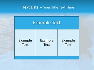 Dolphin Trainer Feeding Dolphins PowerPoint Template