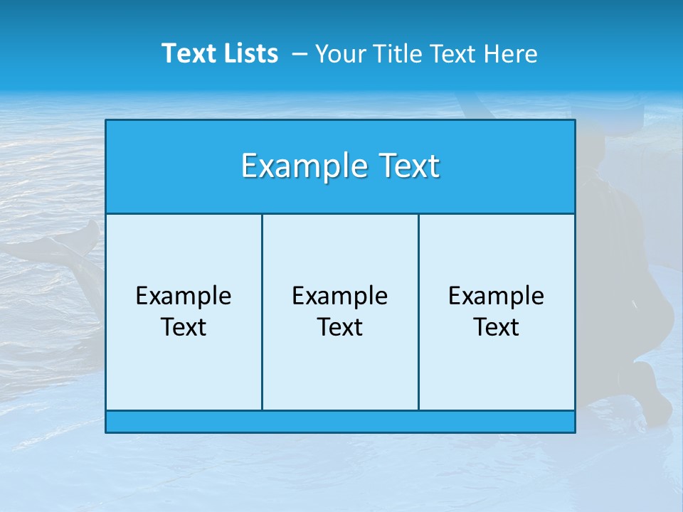 Dolphin Trainer Feeding Dolphins PowerPoint Template