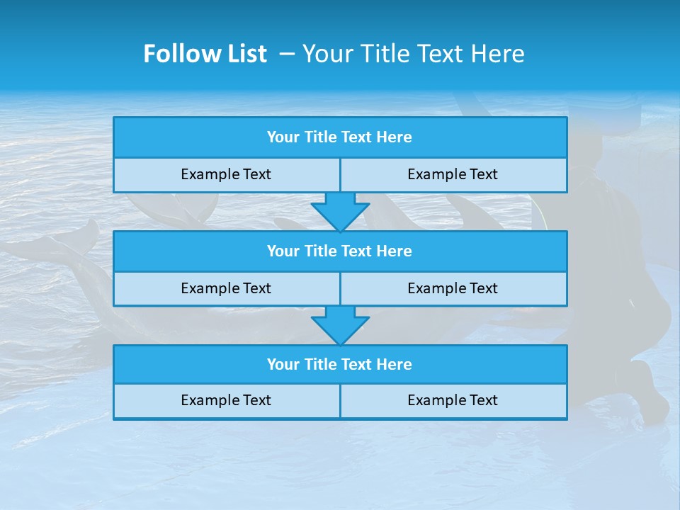 Dolphin Trainer Feeding Dolphins PowerPoint Template
