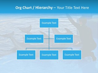 Dolphin Trainer Feeding Dolphins PowerPoint Template
