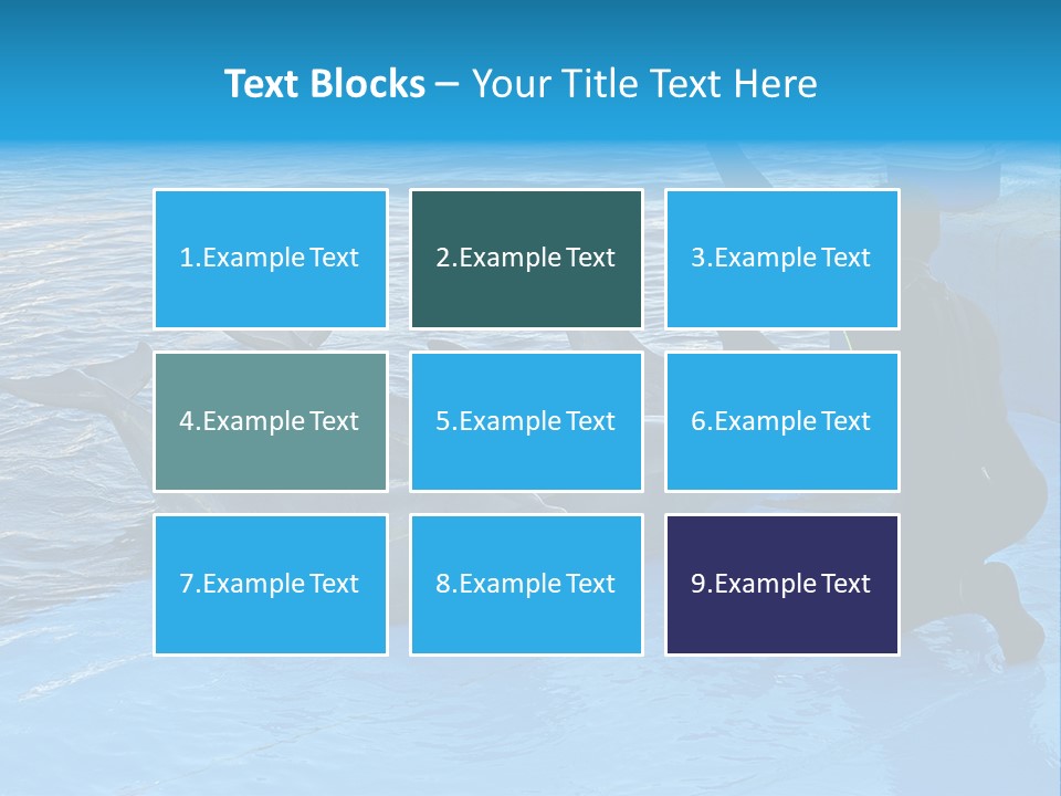 Dolphin Trainer Feeding Dolphins PowerPoint Template