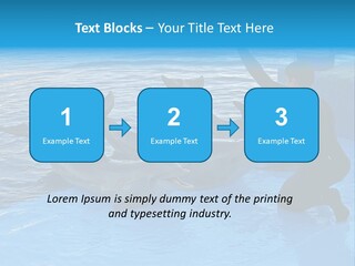 Dolphin Trainer Feeding Dolphins PowerPoint Template