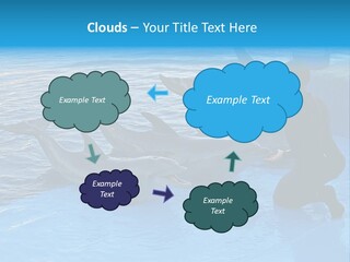 Dolphin Trainer Feeding Dolphins PowerPoint Template