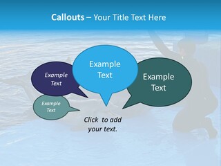 Dolphin Trainer Feeding Dolphins PowerPoint Template