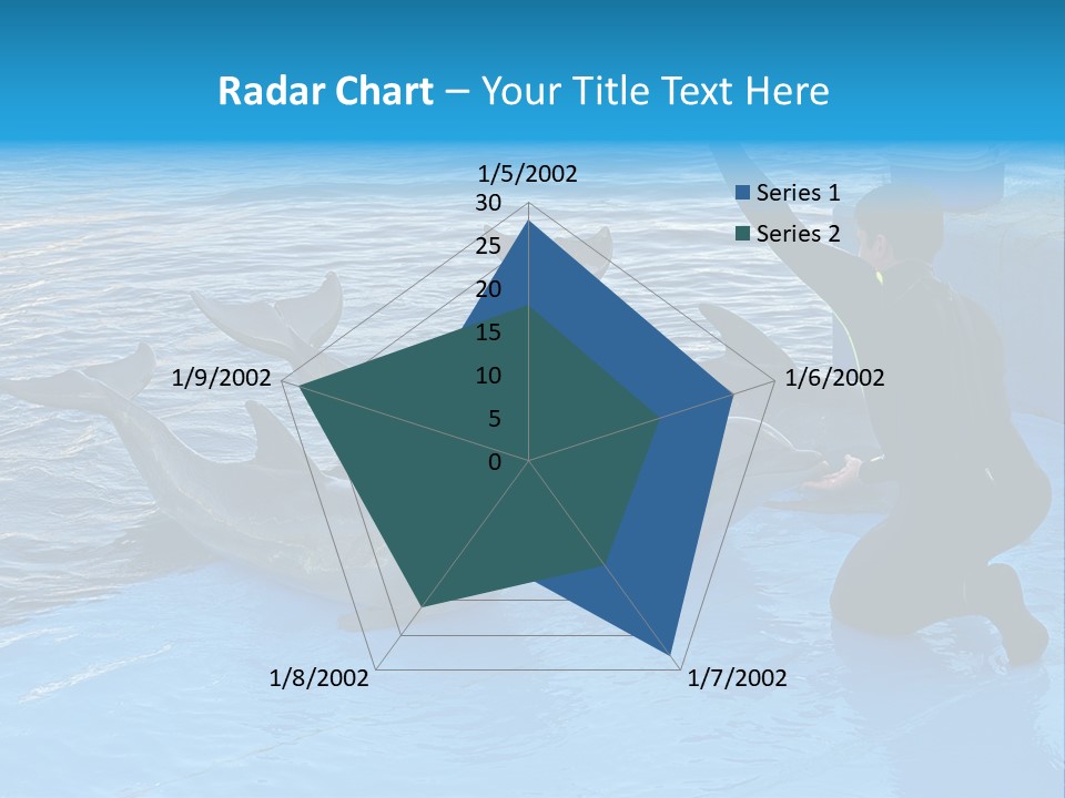 Dolphin Trainer Feeding Dolphins PowerPoint Template
