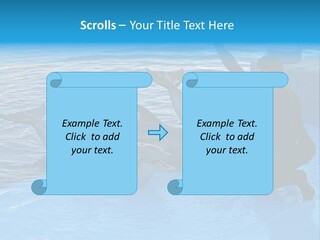 Dolphin Trainer Feeding Dolphins PowerPoint Template