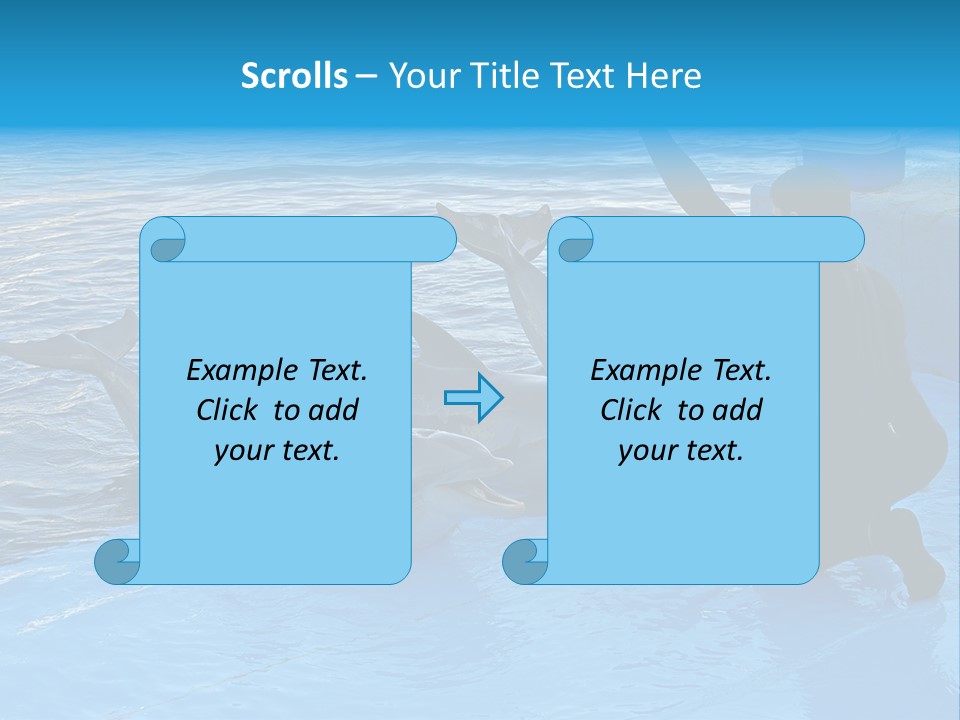 Dolphin Trainer Feeding Dolphins PowerPoint Template