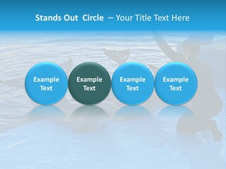 Dolphin Trainer Feeding Dolphins PowerPoint Template
