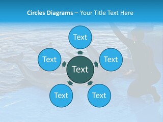 Dolphin Trainer Feeding Dolphins PowerPoint Template