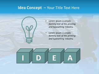 Dolphin Trainer Feeding Dolphins PowerPoint Template