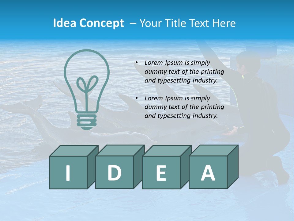 Dolphin Trainer Feeding Dolphins PowerPoint Template