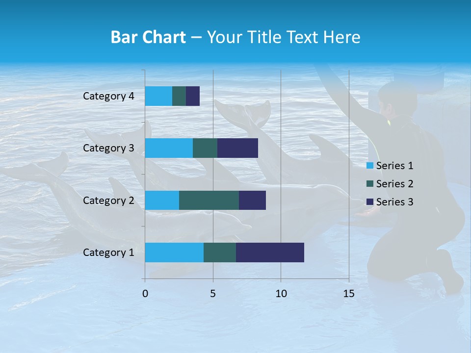 Dolphin Trainer Feeding Dolphins PowerPoint Template