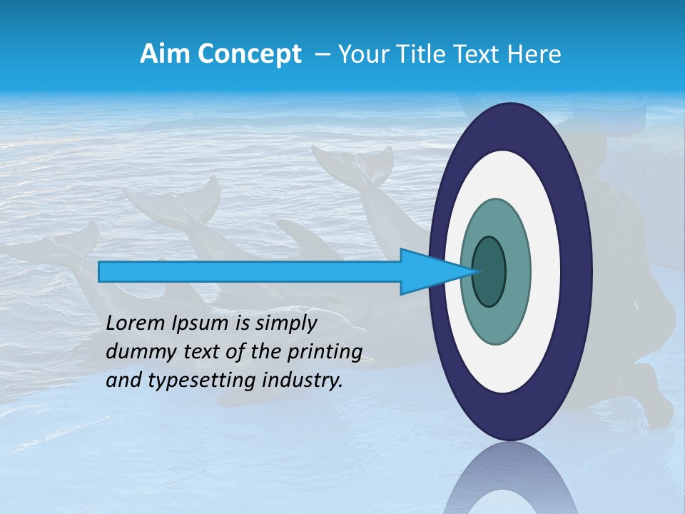Dolphin Trainer Feeding Dolphins PowerPoint Template