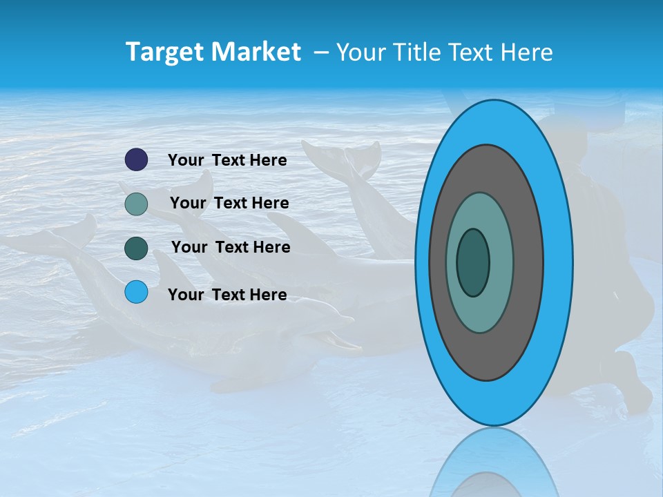Dolphin Trainer Feeding Dolphins PowerPoint Template